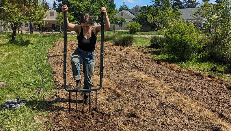 a student worked broadforks the soil in the learning garden on a sunny day
