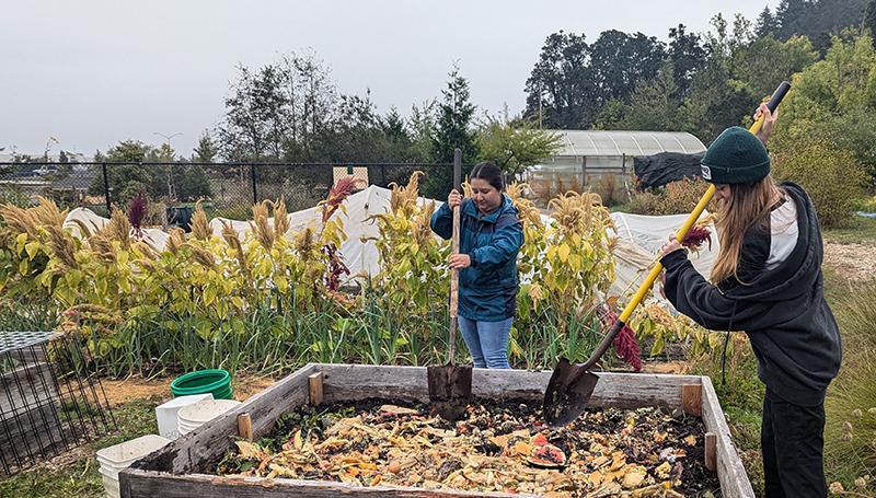 students chopping compost in the learning garden with hearty amaranth growing in the background
