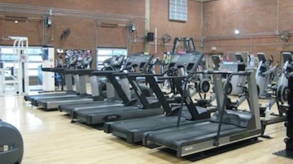 ARENA Commercial  Solutions for Clubs, Gyms, Studios, Rehab, and Teams