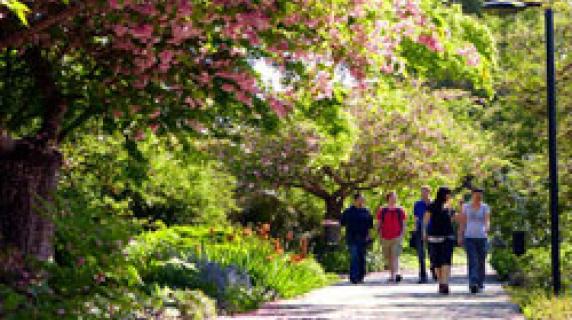 students walking on campus in spring