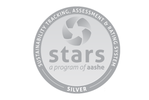 Grey circular STARS silver award logo on white background